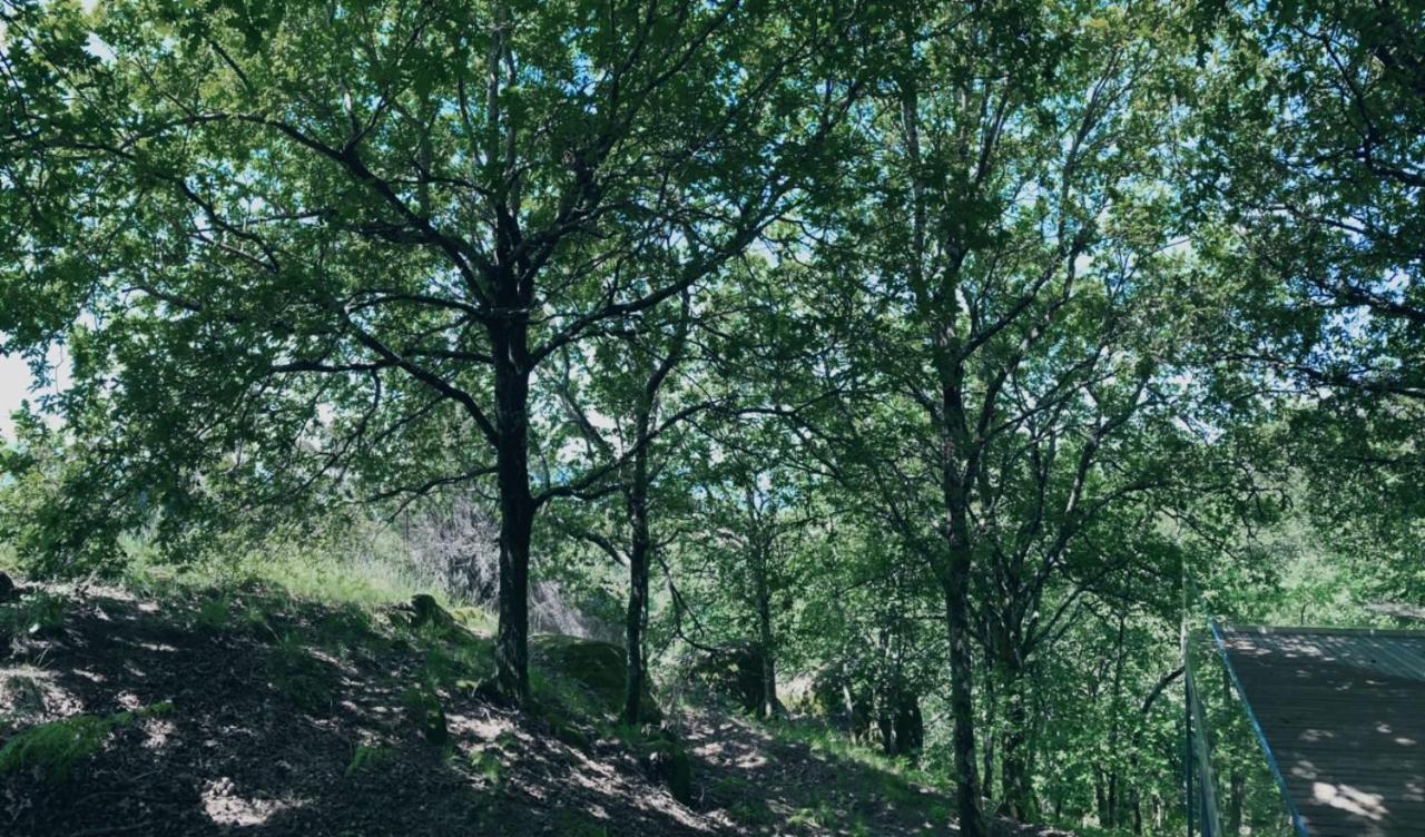 Oak Nature 비에이라도미노 외부 사진
